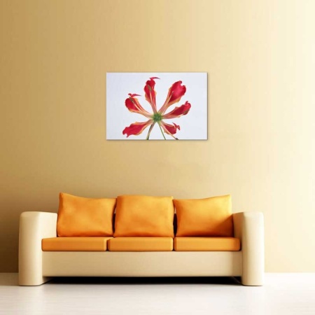 Tablou Canvas Floare