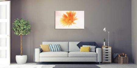 Tablou Canvas Floare