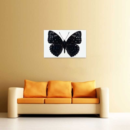 Tablou Canvas Fluturas