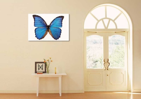 Tablou Canvas Fluturas