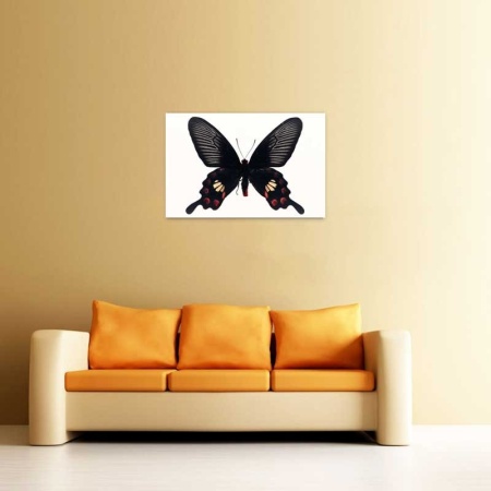 Tablou Canvas Fluturas