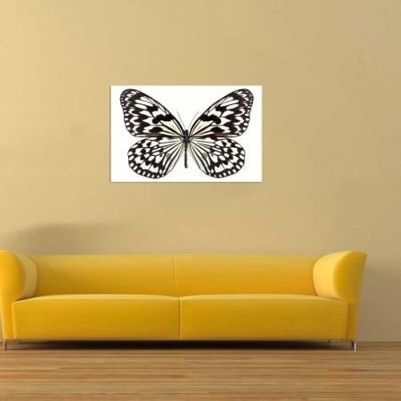 Tablou Canvas Fluturas