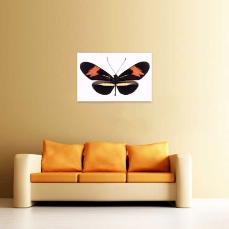 Tablou Canvas Fluturas