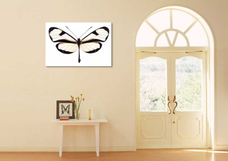 Tablou Canvas Fluturas