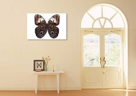 Tablou Canvas Fluturas
