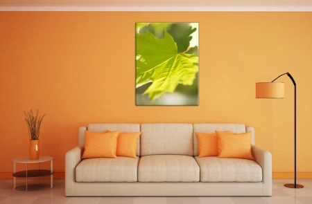 Tablou Canvas Frunze