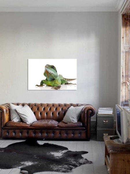 Tablou Canvas Iguana