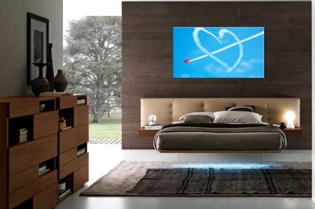 Tablou canvas Inimioara