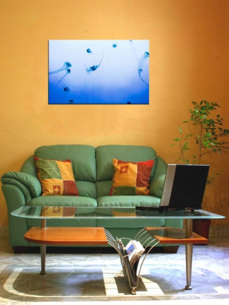 Tablou Canvas Meduze