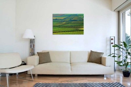 Tablou Canvas Natura