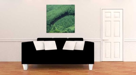 Tablou Canvas Padure
