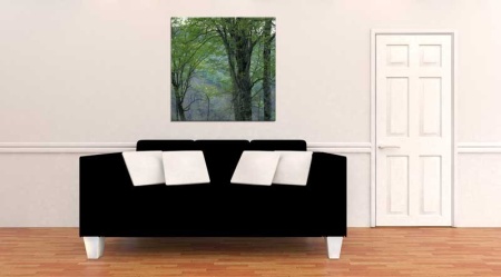 Tablou Canvas Padure