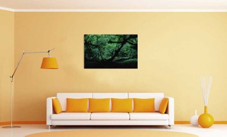 Tablou Canvas Padure