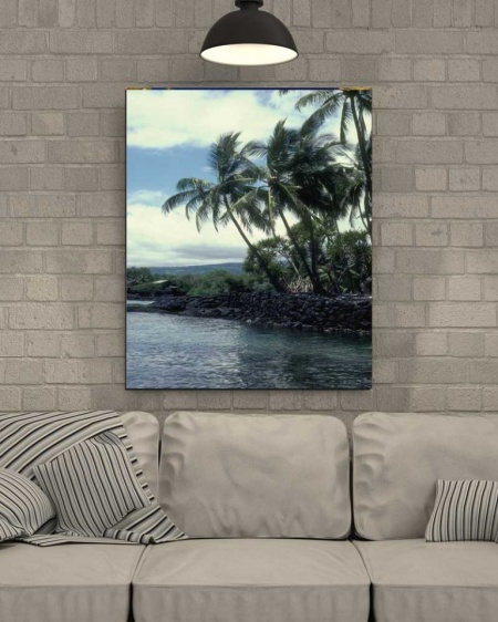 Tablou Canvas Palmier