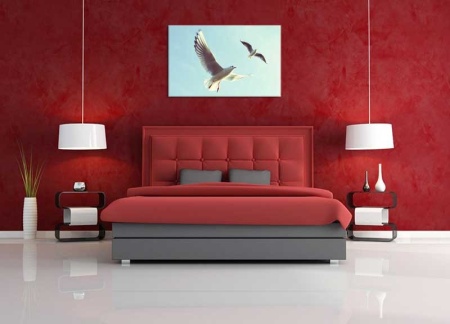 Tablou Canvas Pescarusi