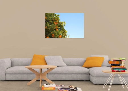 Tablou Canvas Portocale