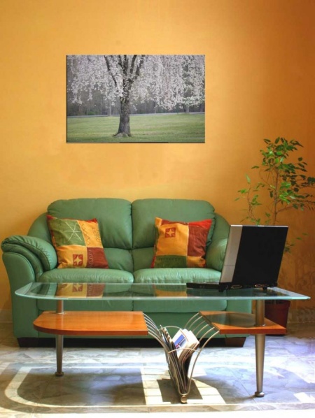 Tablou Canvas Primavara