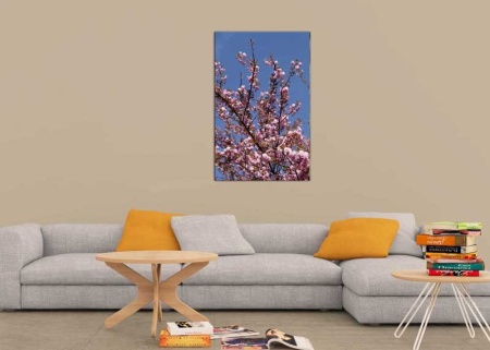 Tablou Canvas Primavara