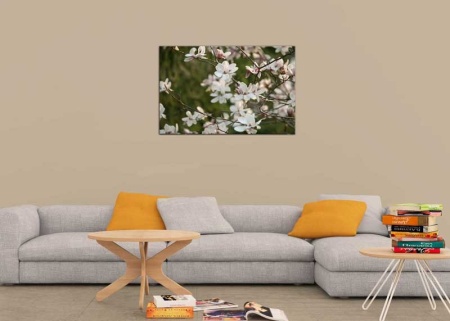 Tablou Canvas Primavara