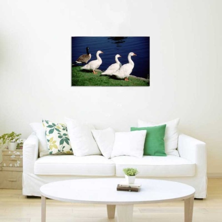 Tablou Canvas Rate
