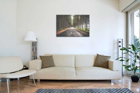 Tablou Canvas Sosea prin Padure