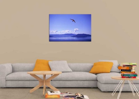 Tablou Canvas Sporturi Extreme