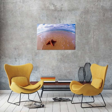 Tablou Canvas Stea de Mare
