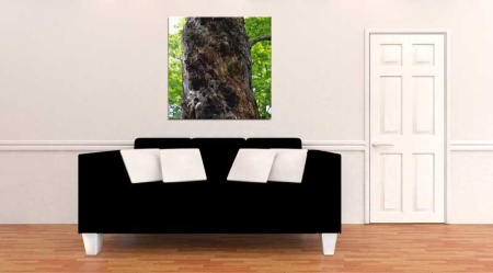 Tablou Canvas Trunchi de Copac