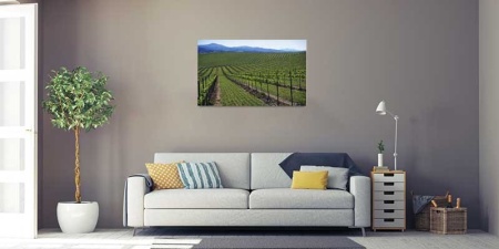 Tablou Canvas Vita de vie