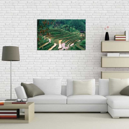 Tablou Canvas Agricultura Asia