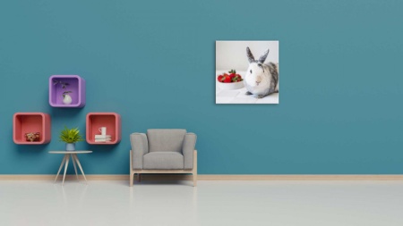 Tablou Canvas animale iepure