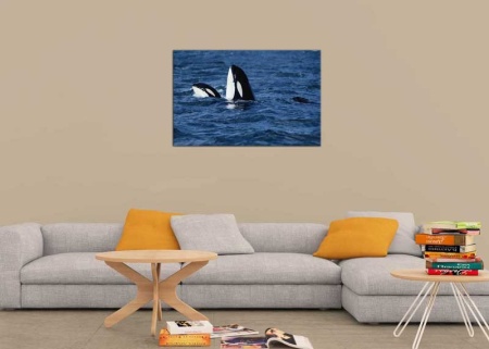 Tablou Canvas Balena