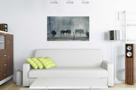 Tablou Canvas Bizoni