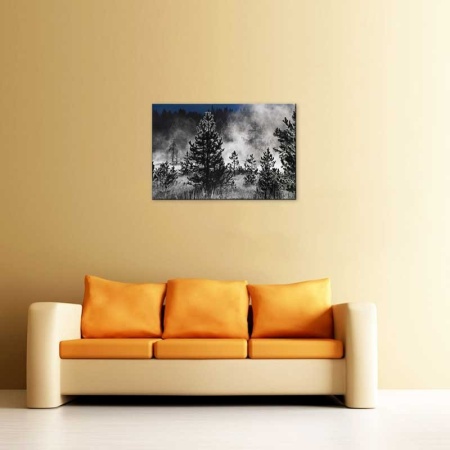 Tablou Canvas Brazi Ceata