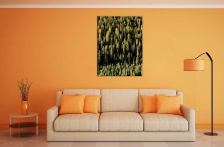 Tablou Canvas Brazi
