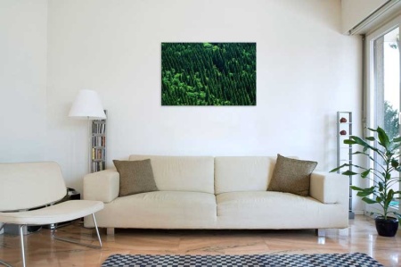 Tablou Canvas Brazi