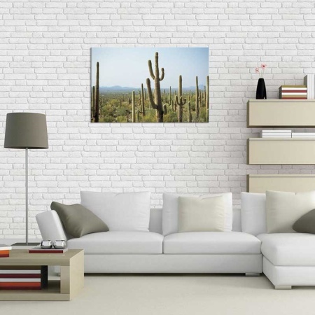 Tablou Canvas Cactusi