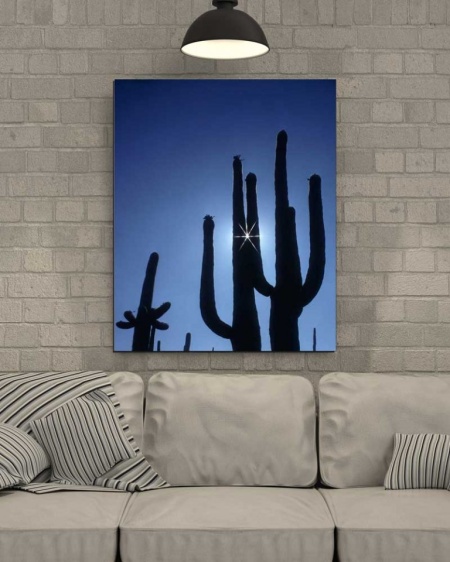 Tablou Canvas Cactus