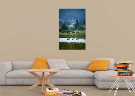 Tablou Canvas Cai Salbatici