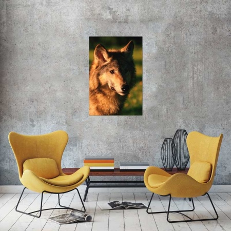 Tablou Canvas Caine