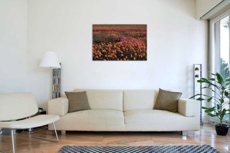 Tablou Canvas Camp cu flori