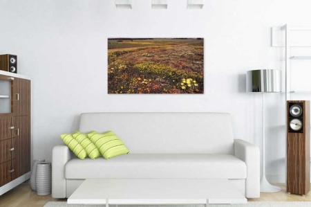 Tablou Canvas Camp cu flori