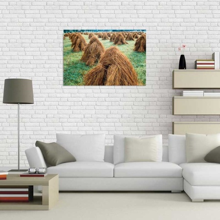 Tablou Canvas Capita