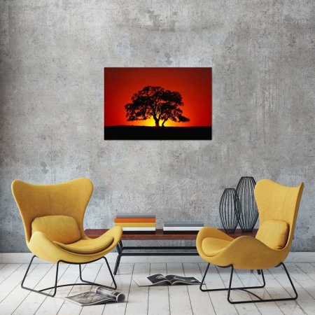 Tablou Canvas Copac in lumina apusului