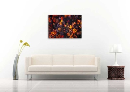 Tablou Canvas Copaci colorati