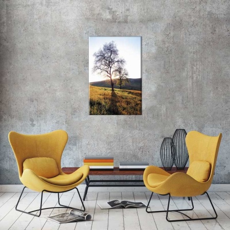 Tablou Canvas Copaci Dimineata
