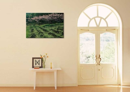 Tablou Canvas Copaci infloriti