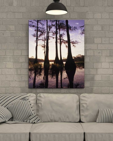 Tablou Canvas Copaci