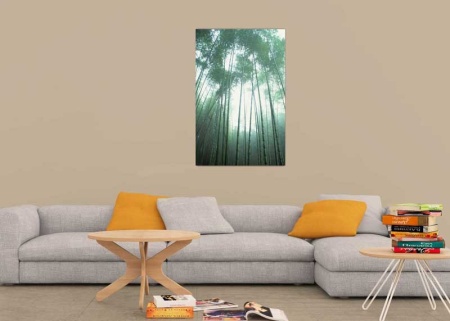 Tablou Canvas Copaci