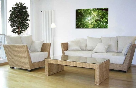 Tablou Canvas Copaci